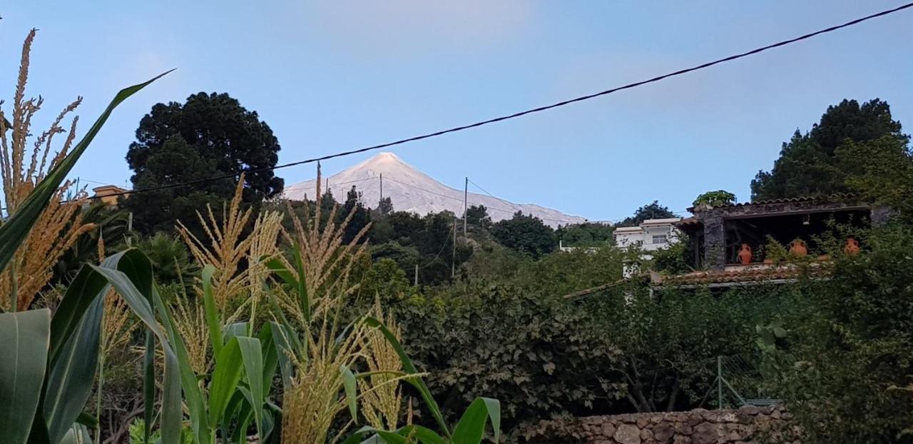 La Tagora Conect With The Nature & Relax Icod De Los Vinos Exterior foto