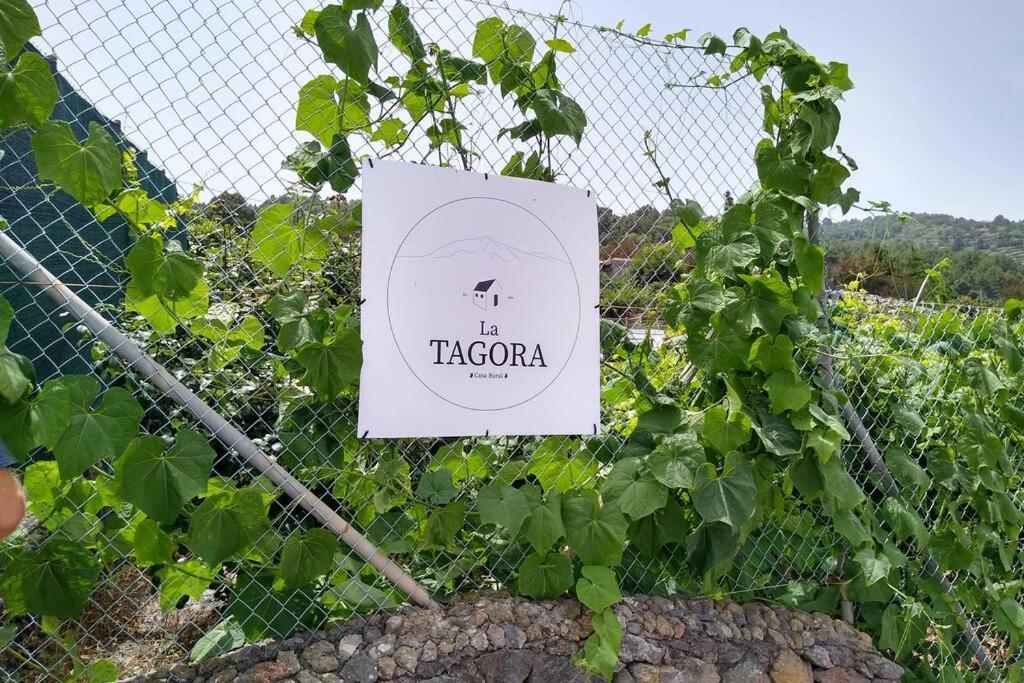La Tagora Conect With The Nature & Relax Icod De Los Vinos Exterior foto